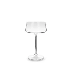 Champagneglas 29cl Coupe Muze - Set/4