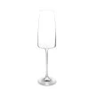 Champagneglas 34cl Villa - Set/4 -Palmer Winkel 215f46bdf03b4cf1819590ba96c3854e