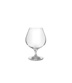 Cognacglas 66cl Cuvee - Set/2