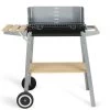 LIVOO Houtskoolbarbecue Afwerking Hout -Palmer Winkel 2ae8f9da346140d88317e54eb51b1267